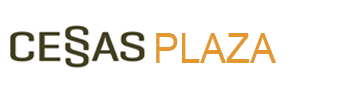 logo-light